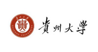 PG电子轮胎