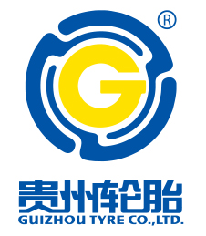PG电子轮胎可持续发展与社会责任管治政策.