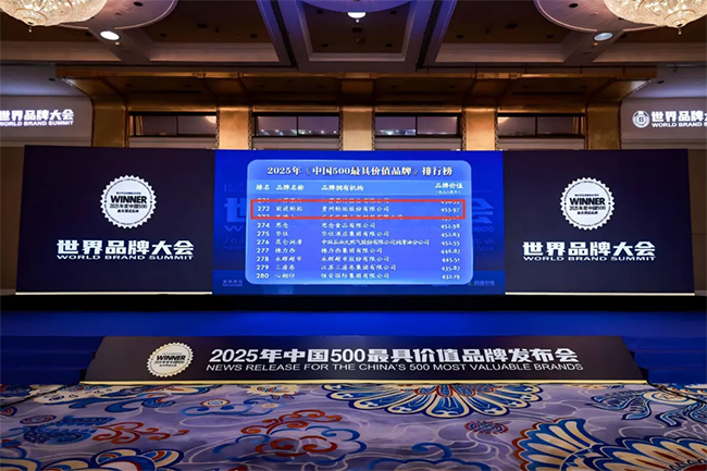 PG电子轮胎荣登 “中国 500 最具价值品牌”——灯塔工厂铸就前进品牌价值新高度